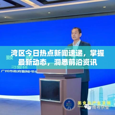 湾区今日热点新闻速递，掌握最新动态，洞悉前沿资讯
