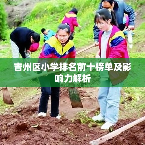 吉州区小学排名前十榜单及影响力解析
