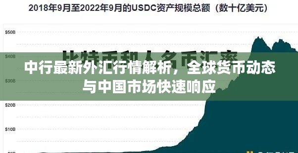 中行最新外汇行情解析，全球货币动态与中国市场快速响应