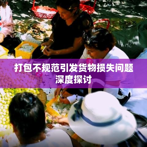 打包不规范引发货物损失问题深度探讨
