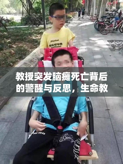 教授突发脑瘫死亡背后的警醒与反思，生命教育与社会责任的呼唤