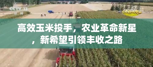 高效玉米投手，农业革命新星，新希望引领丰收之路