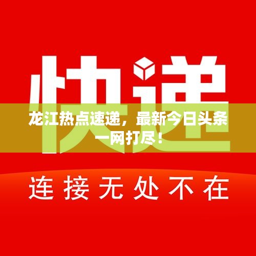 龙江热点速递，最新今日头条一网打尽！