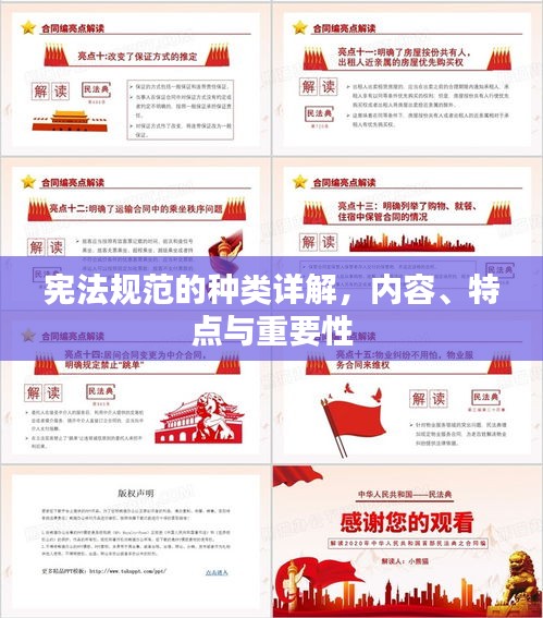 宪法规范的种类详解，内容、特点与重要性