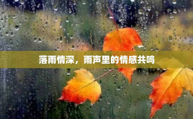 落雨情深，雨声里的情感共鸣