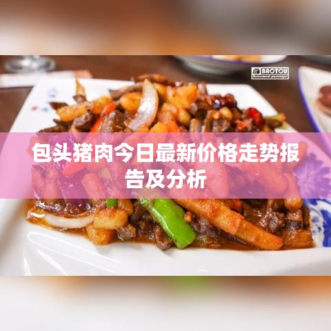 包头猪肉今日最新价格走势报告及分析
