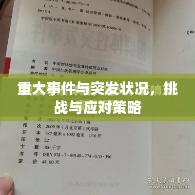 重大事件与突发状况，挑战与应对策略