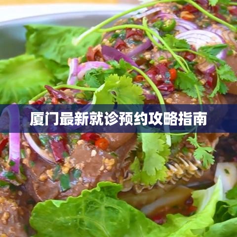 厦门最新就诊预约攻略指南