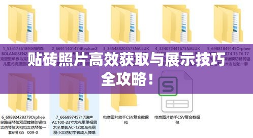贴砖照片高效获取与展示技巧全攻略！