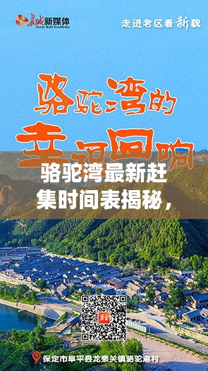 骆驼湾最新赶集时间表揭秘，乡村集市新动态探索