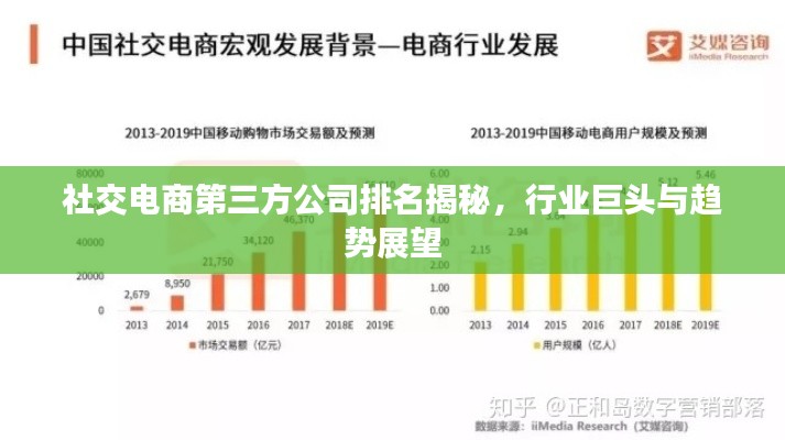 社交电商第三方公司排名揭秘，行业巨头与趋势展望