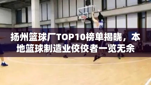 扬州篮球厂TOP10榜单揭晓，本地篮球制造业佼佼者一览无余