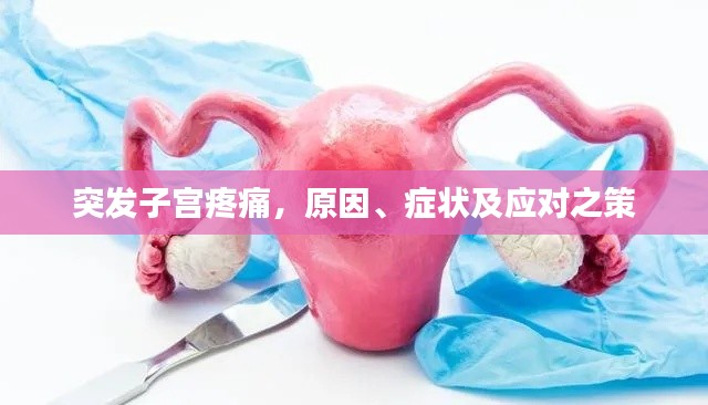 突发子宫疼痛，原因、症状及应对之策