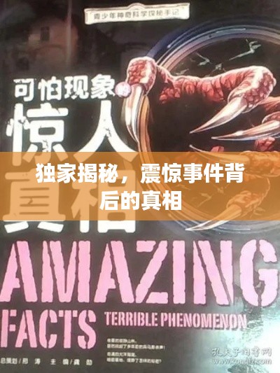 独家揭秘，震惊事件背后的真相
