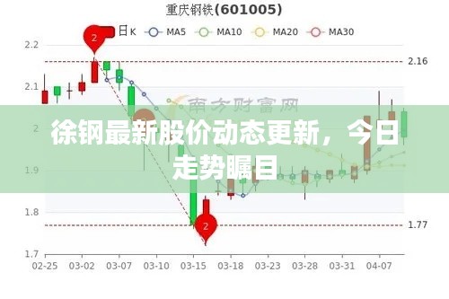 徐钢最新股价动态更新，今日走势瞩目
