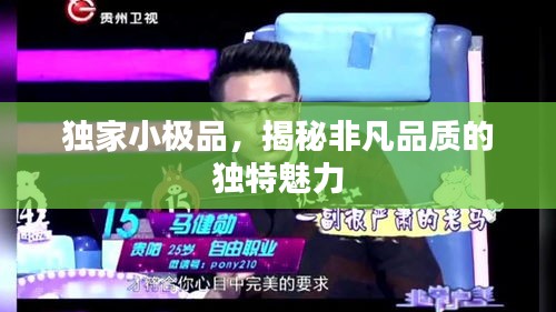 独家小极品，揭秘非凡品质的独特魅力