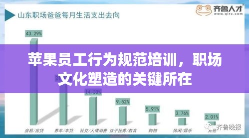 苹果员工行为规范培训，职场文化塑造的关键所在