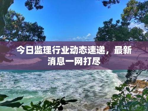 今日监理行业动态速递，最新消息一网打尽