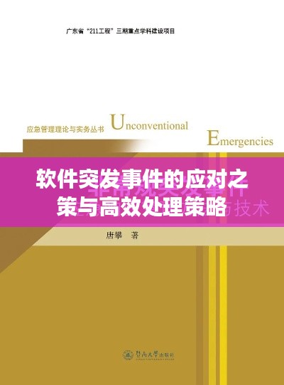 软件突发事件的应对之策与高效处理策略