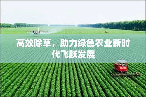 高效除草，助力绿色农业新时代飞跃发展