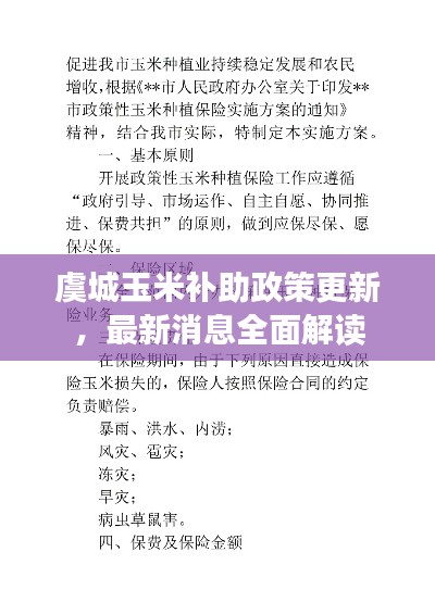 虞城玉米补助政策更新，最新消息全面解读