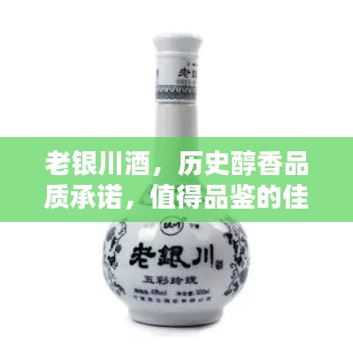老银川酒，历史醇香品质承诺，值得品鉴的佳酿之选