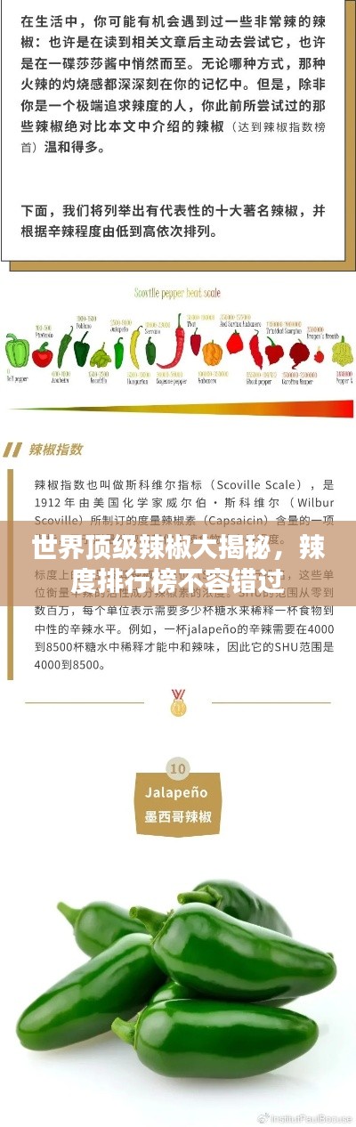世界顶级辣椒大揭秘，辣度排行榜不容错过
