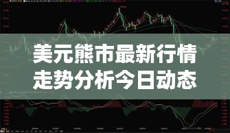 美元熊市最新行情走势分析今日动态