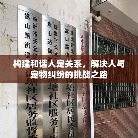 构建和谐人宠关系，解决人与宠物纠纷的挑战之路