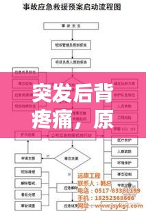 突发后背疼痛，原因解析、应急处理与预防策略