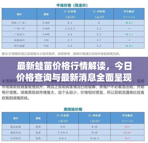 最新蛙苗价格行情解读，今日价格查询与最新消息全面呈现