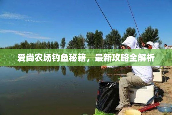 爱尚农场钓鱼秘籍，最新攻略全解析