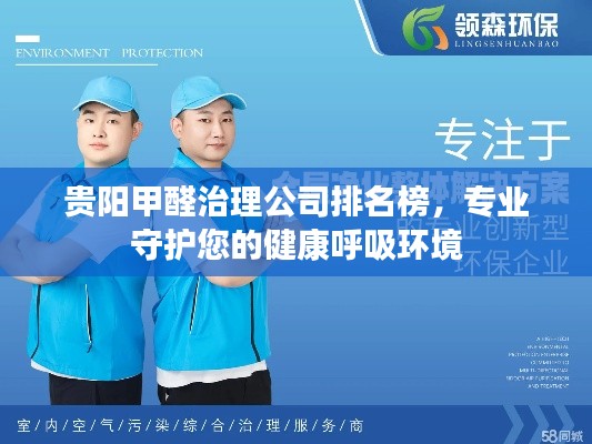 贵阳甲醛治理公司排名榜，专业守护您的健康呼吸环境