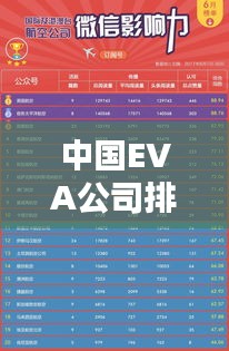 中国EVA公司排行榜及行业影响力解析