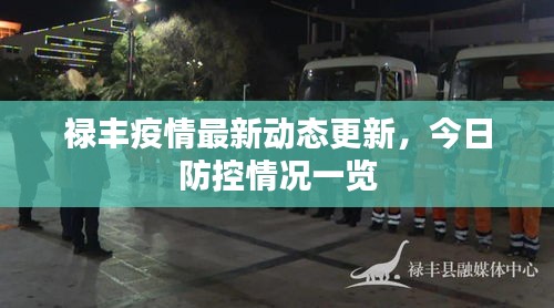 禄丰疫情最新动态更新，今日防控情况一览