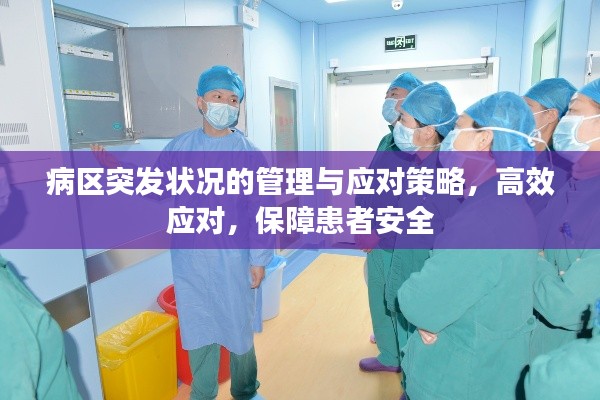 病区突发状况的管理与应对策略，高效应对，保障患者安全