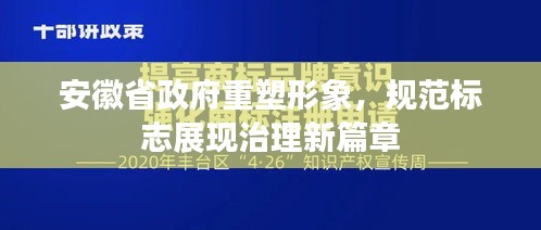 安徽省政府重塑形象，规范标志展现治理新篇章