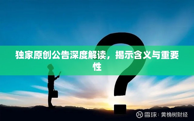 独家原创公告深度解读，揭示含义与重要性