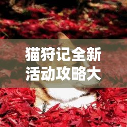 猫狩记全新活动攻略大全，细节一网打尽！