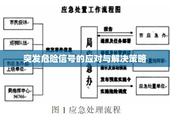 突发危险信号的应对与解决策略