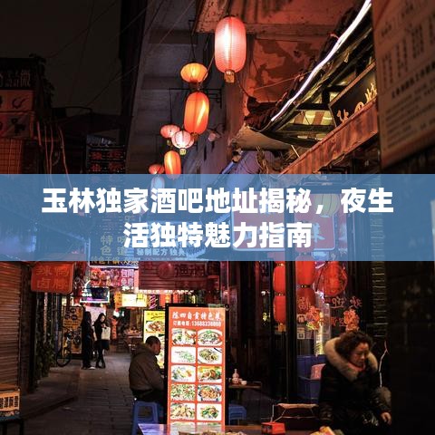 玉林独家酒吧地址揭秘，夜生活独特魅力指南