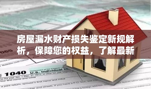 房屋漏水财产损失鉴定新规解析，保障您的权益，了解最新标准！