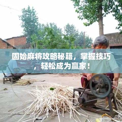固始麻将攻略秘籍，掌握技巧，轻松成为赢家！