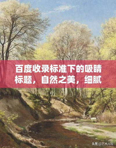 百度收录标准下的吸睛标题，自然之美，细腻描绘的写景段落欣赏