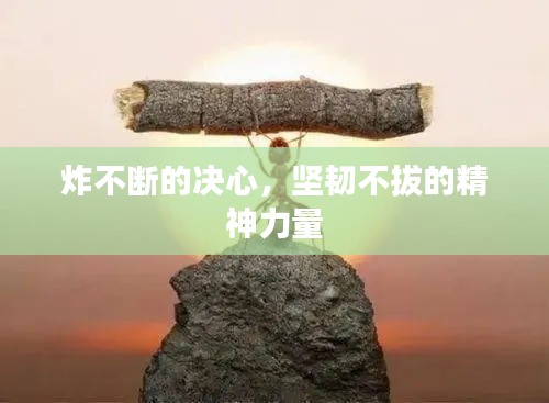 炸不断的决心，坚韧不拔的精神力量