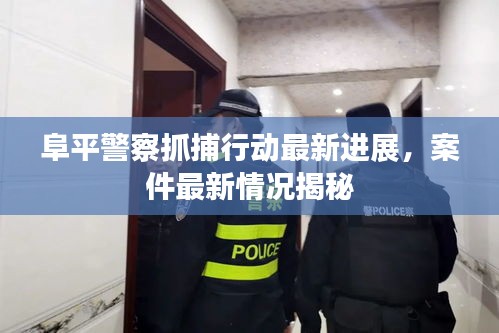 阜平警察抓捕行动最新进展，案件最新情况揭秘