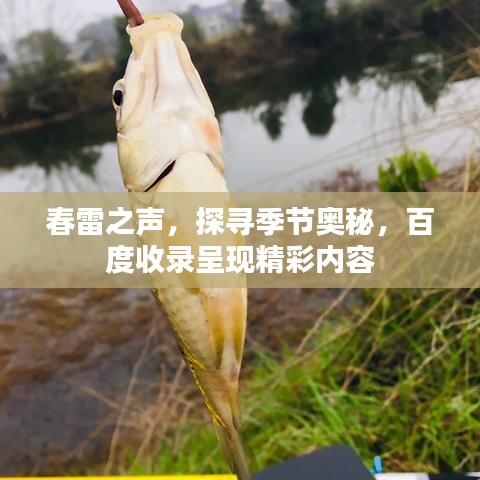 春雷之声，探寻季节奥秘，百度收录呈现精彩内容