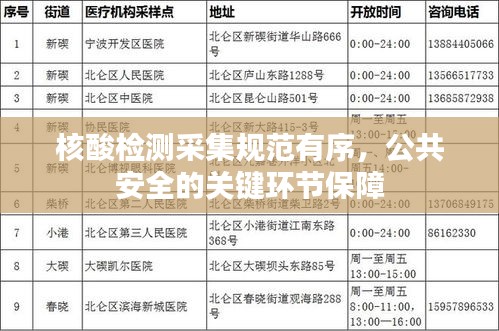 核酸检测采集规范有序，公共安全的关键环节保障