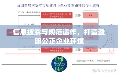 信息披露与规范运作，打造透明公正企业环境