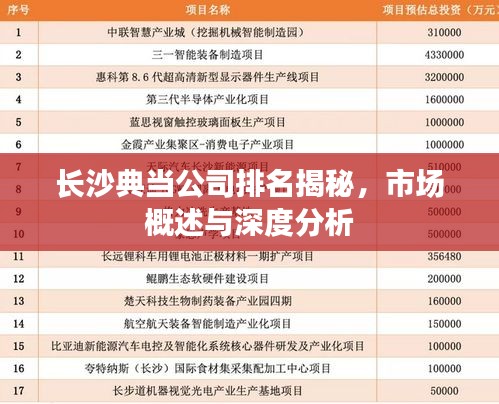 长沙典当公司排名揭秘，市场概述与深度分析